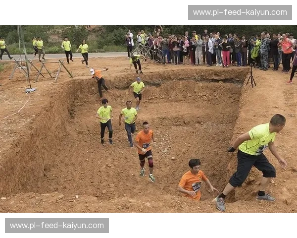 开云体育首页：激发运动激情，畅享体育盛宴